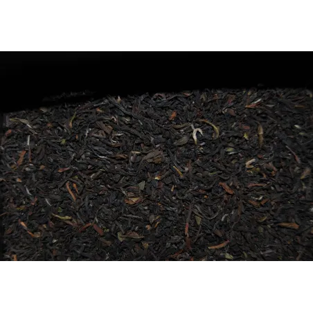DARJEELING BIO