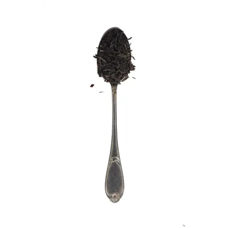 LE FUME INTENSE 100 GRS
