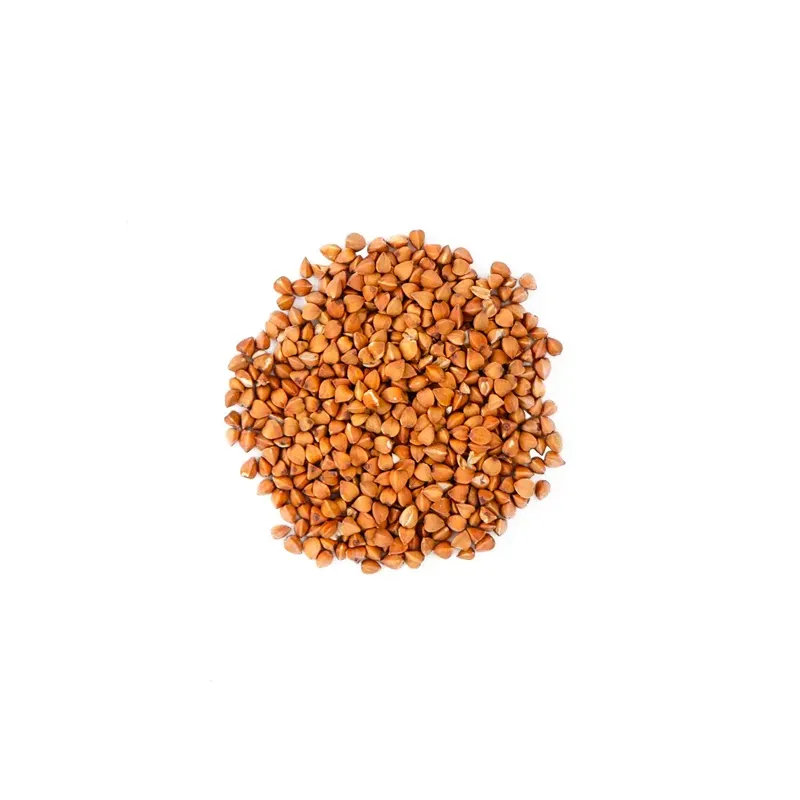 REGAL DE SOBBACHA BIO LES 100 GRS