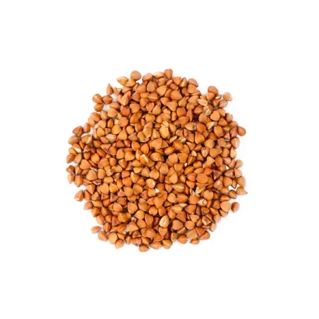 REGAL DE SOBBACHA BIO LES 100 GRS