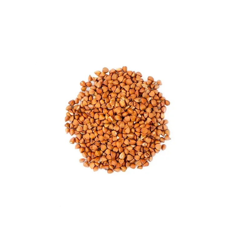 REGAL DE SOBBACHA BIO LES 100 GRS